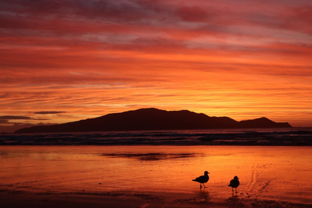 Kāpiti Island - Afterglow