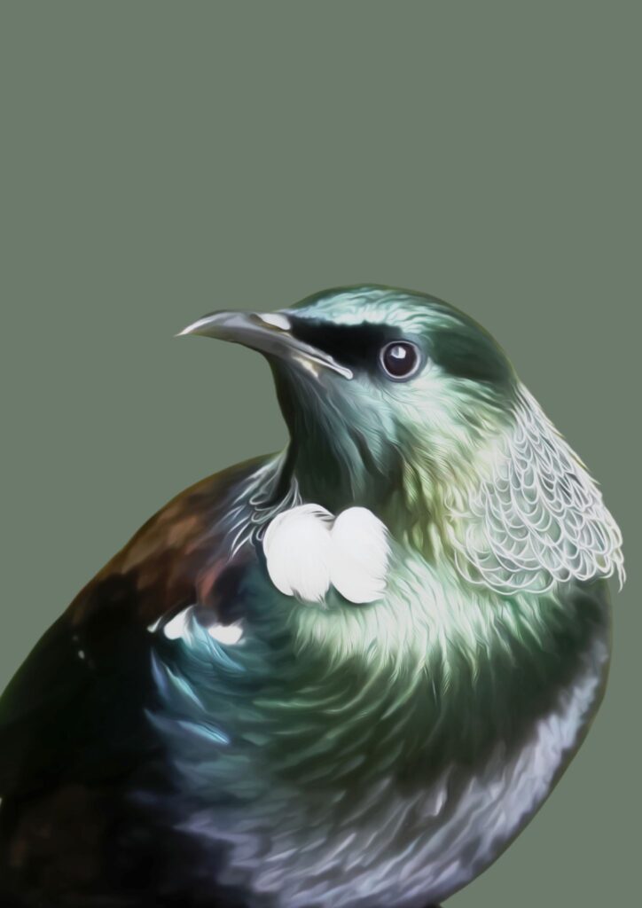 Tui